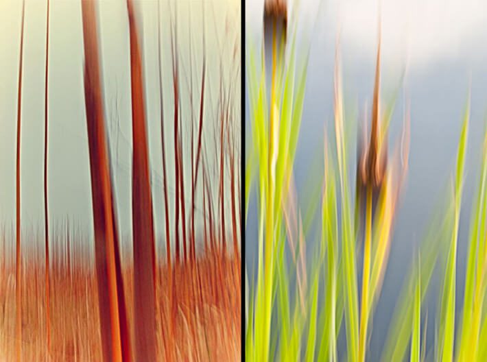 Jeff Curry Photographer of Denver, Colorado