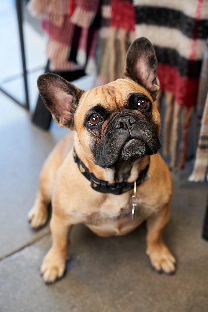 Grand Salon & Medspa in Denver offering professional salon and medspa services